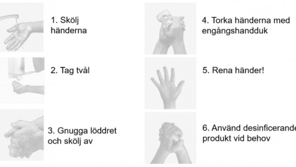 Coronavirus covid-19: Stanna hemma vid sjukdom